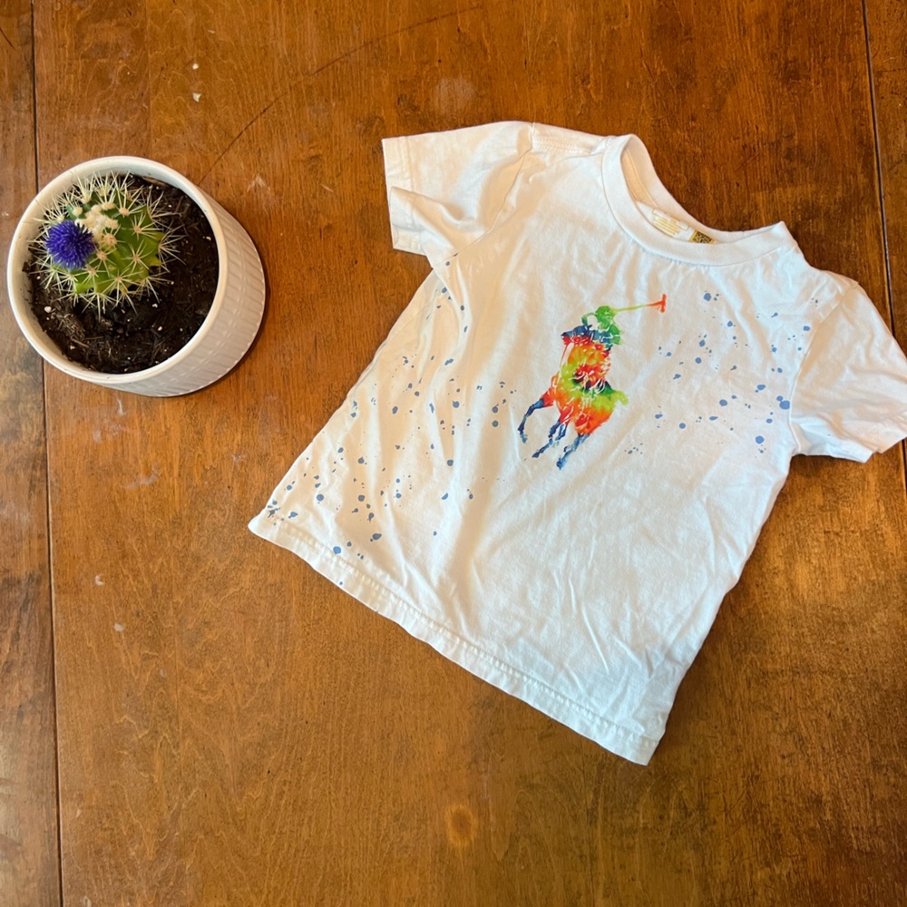 Polo Ralph Lauren Boys 4T White Graphic Tee Colorful Logo Shirt